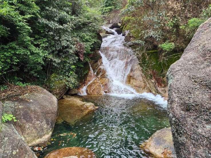 哪里的沙棘原浆质量最好最纯正,寻找果香之乡